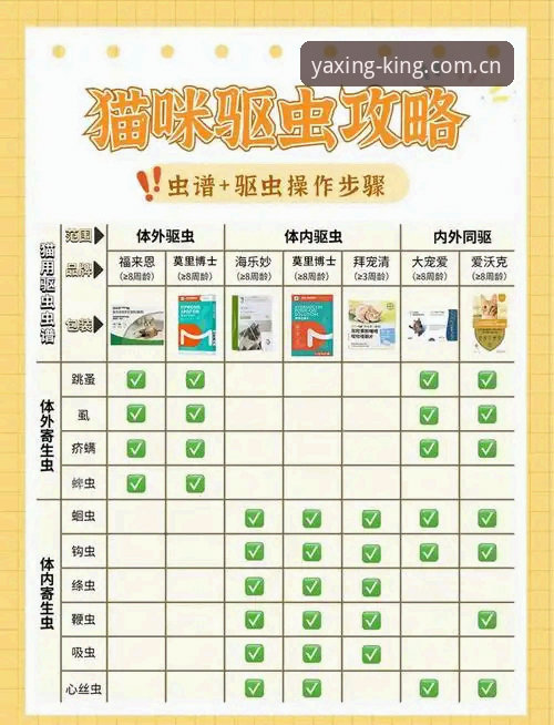 亚星游戏官网 亚星游戏官网新手操作指南:从下载到使用的完整流程
